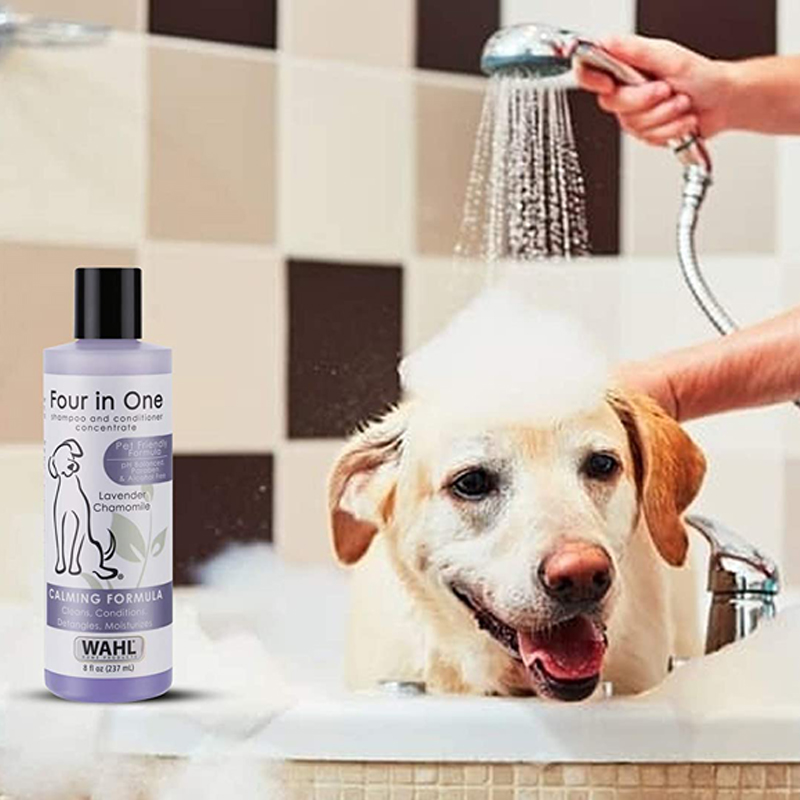 Wahl four in 2024 one dog shampoo